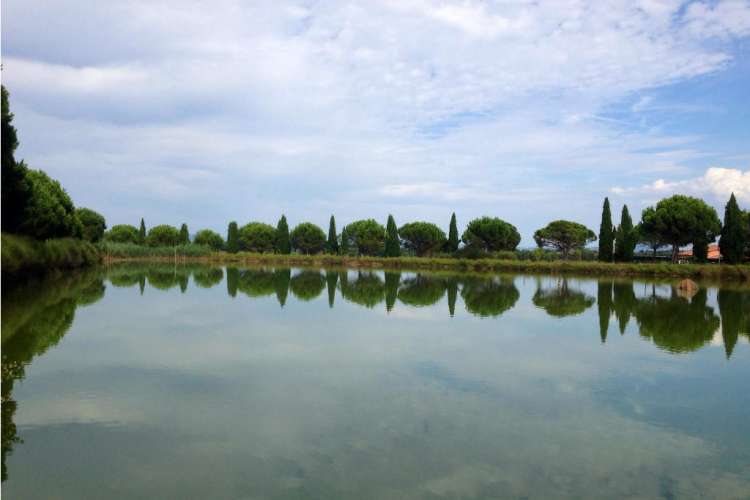 Agriturismo